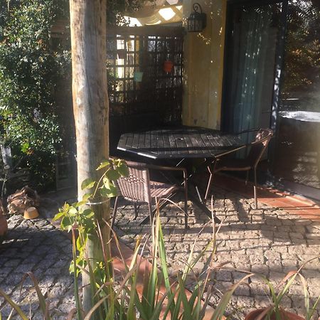 Quinta Da Sao Joao - Villa Oliveira オリョン エクステリア 写真