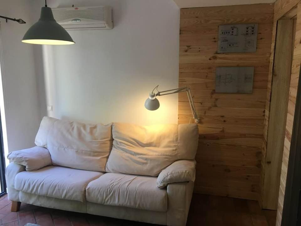 Quinta Da Sao Joao - Villa Oliveira オリョン エクステリア 写真