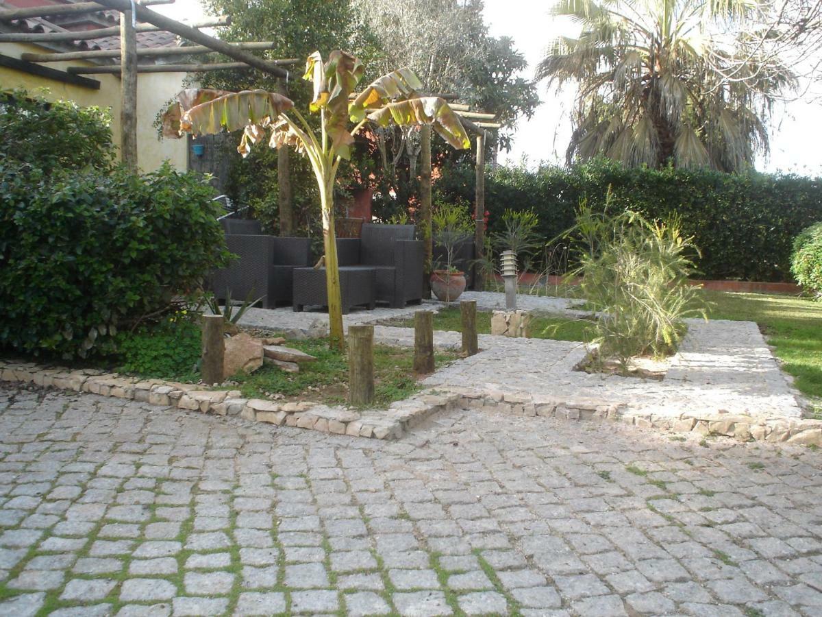 Quinta Da Sao Joao - Villa Oliveira オリョン エクステリア 写真