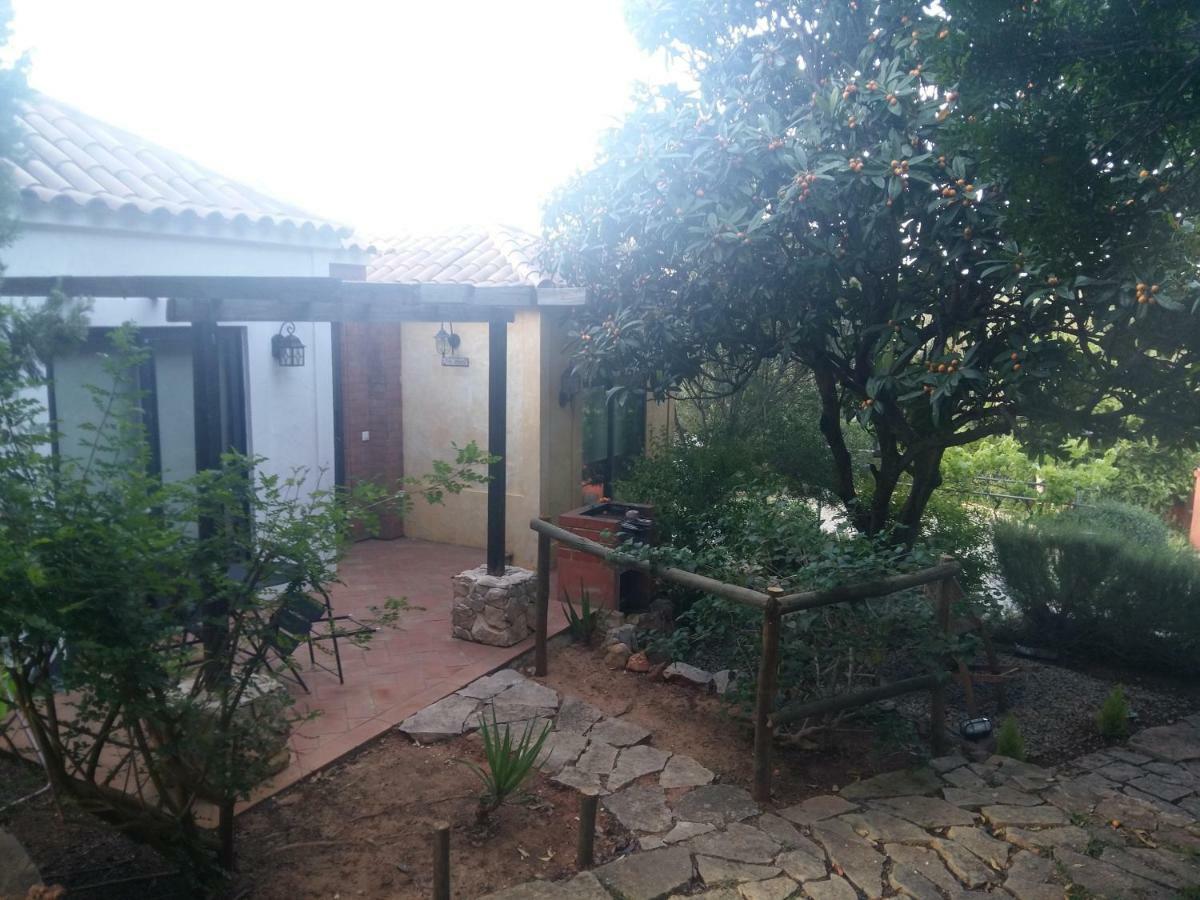 Quinta Da Sao Joao - Villa Oliveira オリョン エクステリア 写真