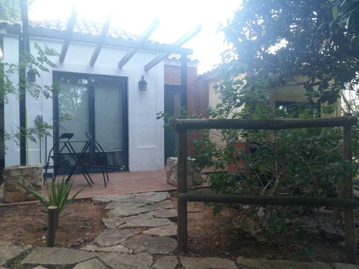 Quinta Da Sao Joao - Villa Oliveira オリョン エクステリア 写真