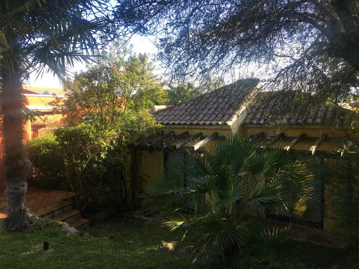 Quinta Da Sao Joao - Villa Oliveira オリョン エクステリア 写真